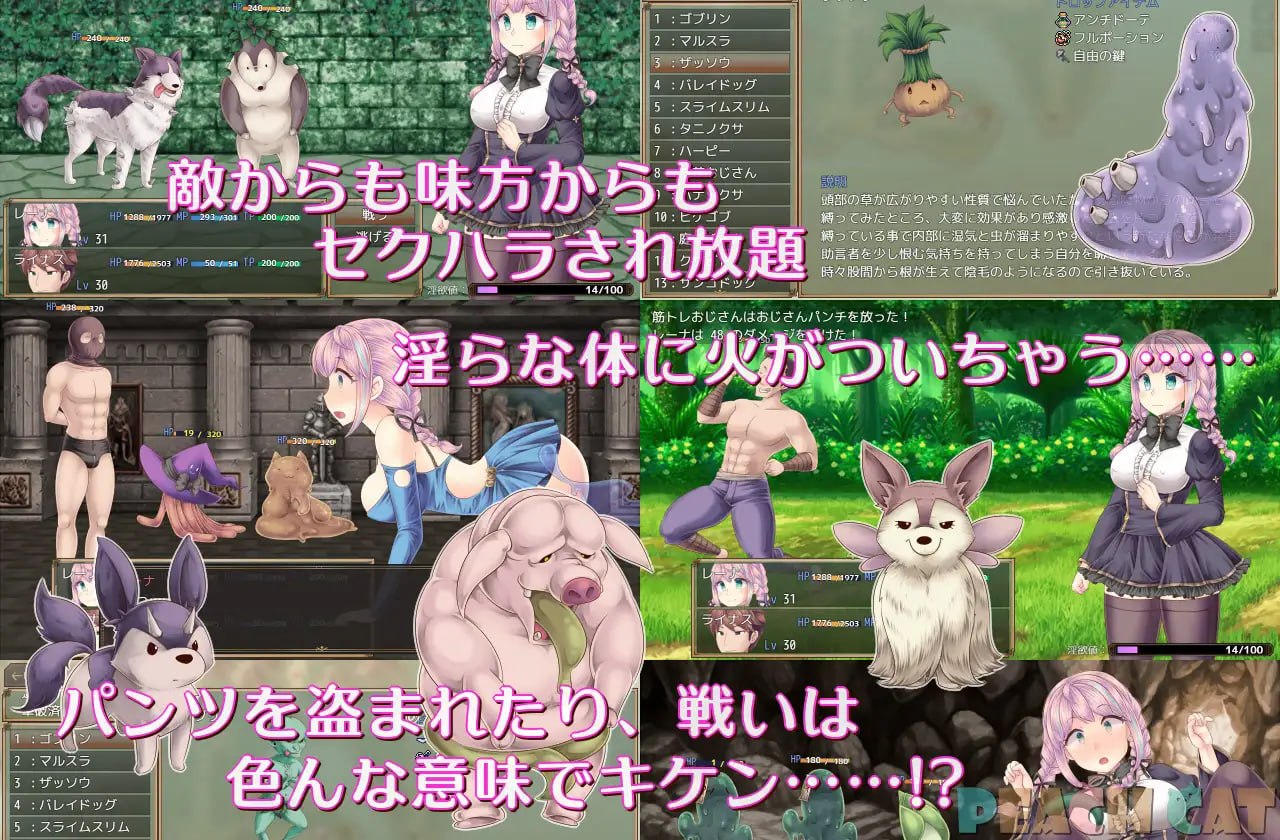 连续高潮 Sister Maiden [v1.0.0] 【汉化】预览图 7