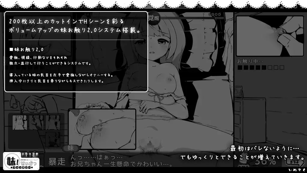 妹相随～黑白世界的缤纷冒险～[v1.2.5] 【彩绘版】预览图 7