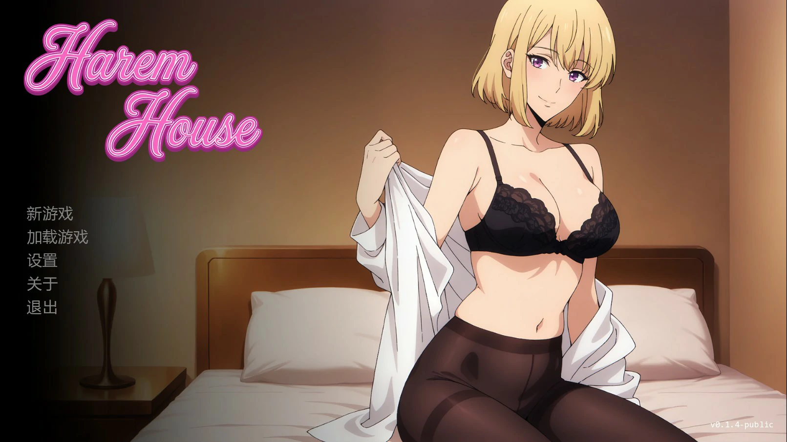 后宫之家 Harem House [v0.1.4 Public] 【汉化】预览图 1