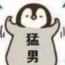 耿耿头像